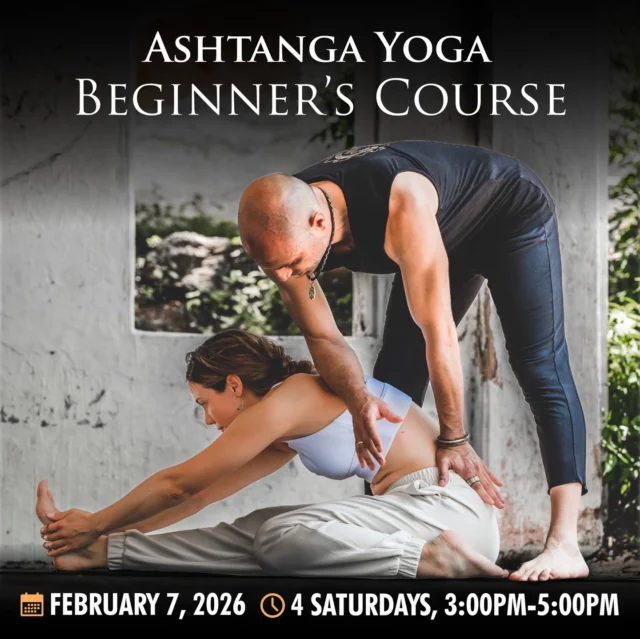 🌟 Best Way to Start Practicing Yoga! 🌟
✨ An Exclusive Opportunity for 30 Students!
🧘 All Levels Welcome: Perfect for both new and returning practitioners.
🚀 This popular course fills up rapidly, so reserve your spot now!

Over the 4-weeks, Sava will guide you through the fundamentals of Ashtanga Yoga, helping you establish long term strong foundation for Mysore Style practice.

📅 Saturdays: February 7, 14, 21, 28, 2026
🕐 3:00 PM – 5:00 PM
💰 Investment: $250

🔗 LINK IN BIO!

What’s Included: 
🎁 5 FREE Guided Only Classes $100 value (1 Month Expiration)
🎁 Personalized guidance with hands-on adjustments.

What’s NOT Included:
🚫Mysore Classes!
Mysore class packages and memberships can be purchased separately at a discounted price of 20% off (only for beginner’s course students)

🌈 Ready to Begin? Reserve your spot today on the Mind Body app or the website!

📸 Photo Credit to an Amazing #yogaphotographyart

❗Cancellation Policy: This course can only be canceled for a full refund a week prior to the start date. In case of an emergency, course tuition can be applied to a different course at a later date.
.
.
.
.
.
.
.
.
.
.
.
.
.
.
.
.
.
.
.
.
.
.
#atlantayogacommunity #ashtangayogalove #atlantahealth #atlantaevents